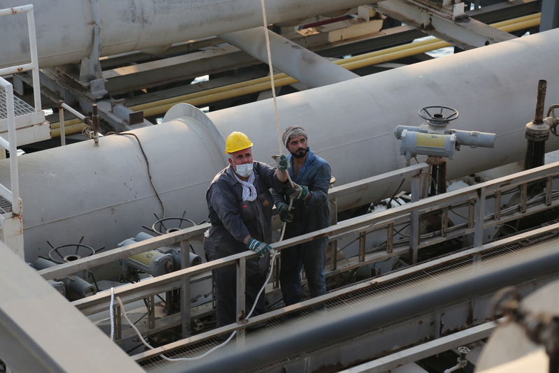 بازو بارگیری 31