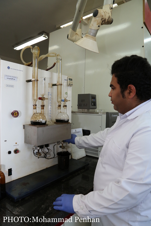 تلاشگران شرکت پایانه های نفتی ایران  24