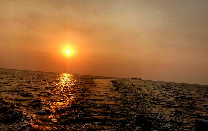 گوی شناور  8