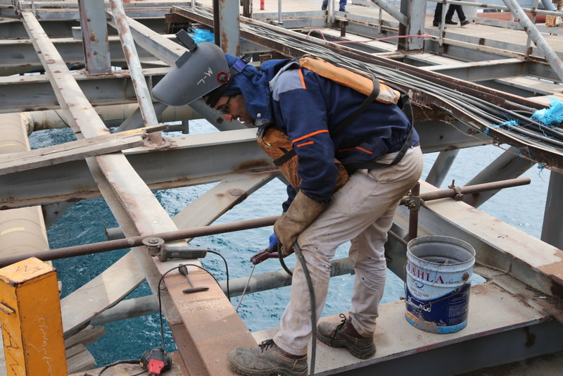 بازدید مدیرعامل 29