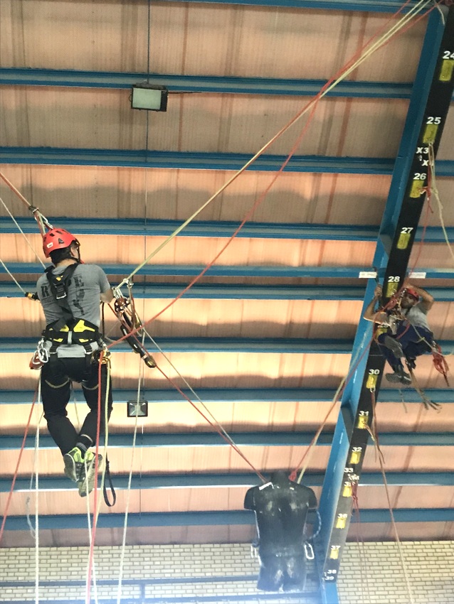 گواهینامه HSE 2