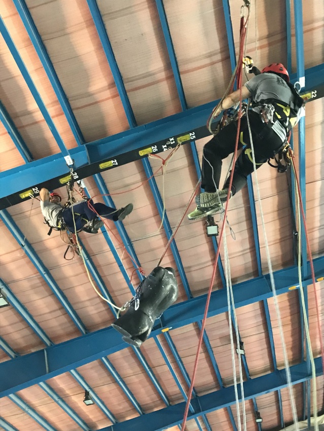 گواهینامه HSE 3