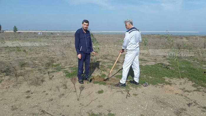 درختکاری+ خارگ + شمال 2