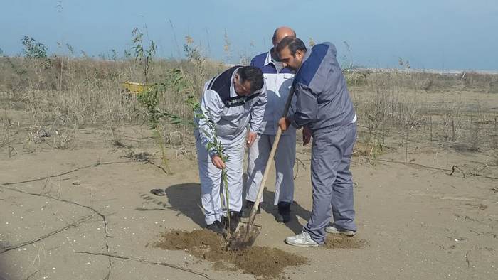 درختکاری+ خارگ + شمال 3