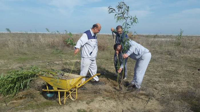 درختکاری+ خارگ + شمال 5