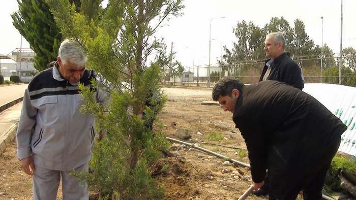 درختکاری+ خارگ + شمال 9