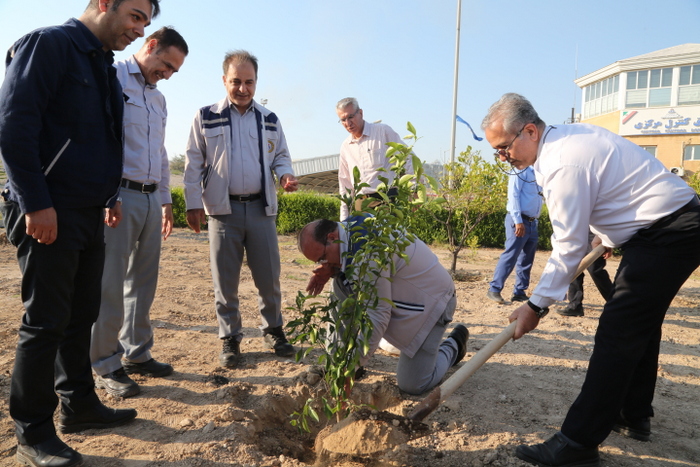 درختکاری+ خارگ + شمال 12