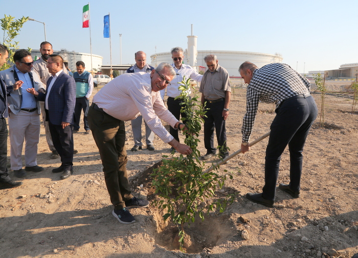 درختکاری+ خارگ + شمال 15