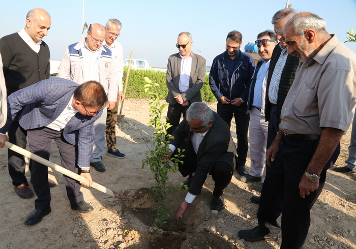 درختکاری+ خارگ + شمال 20