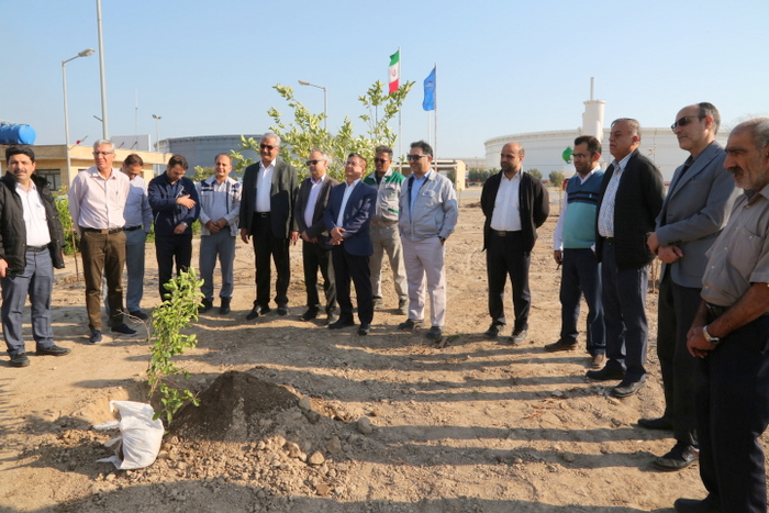 درختکاری+ خارگ + شمال 24