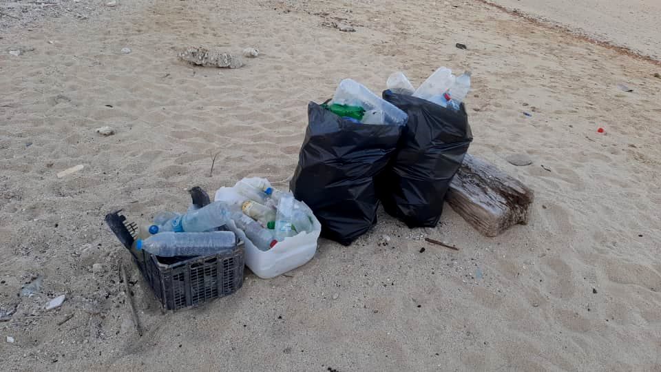 سارا حق نگهدار + محیط زیست 1