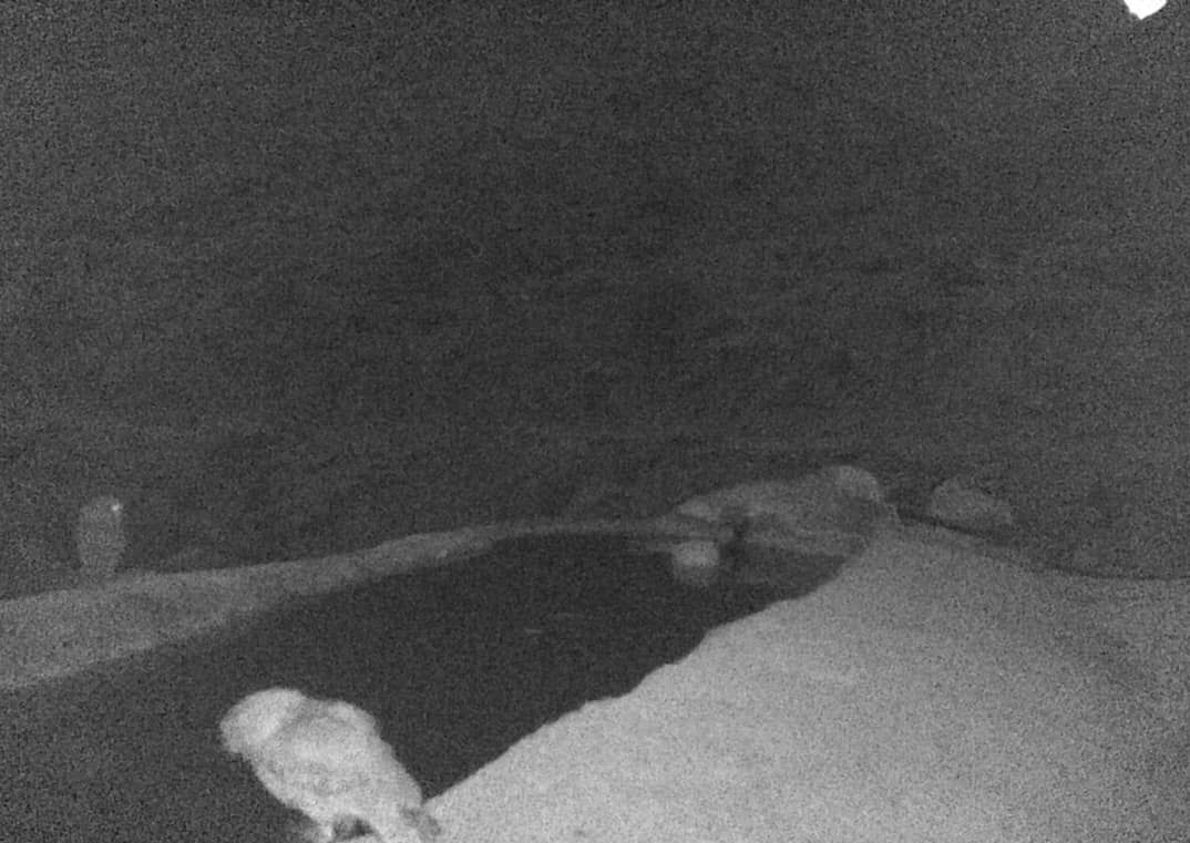 محیط زیست+ جانوران + گیاهان+ پارس جنوبی+ پایانه های نفتی ایران 6