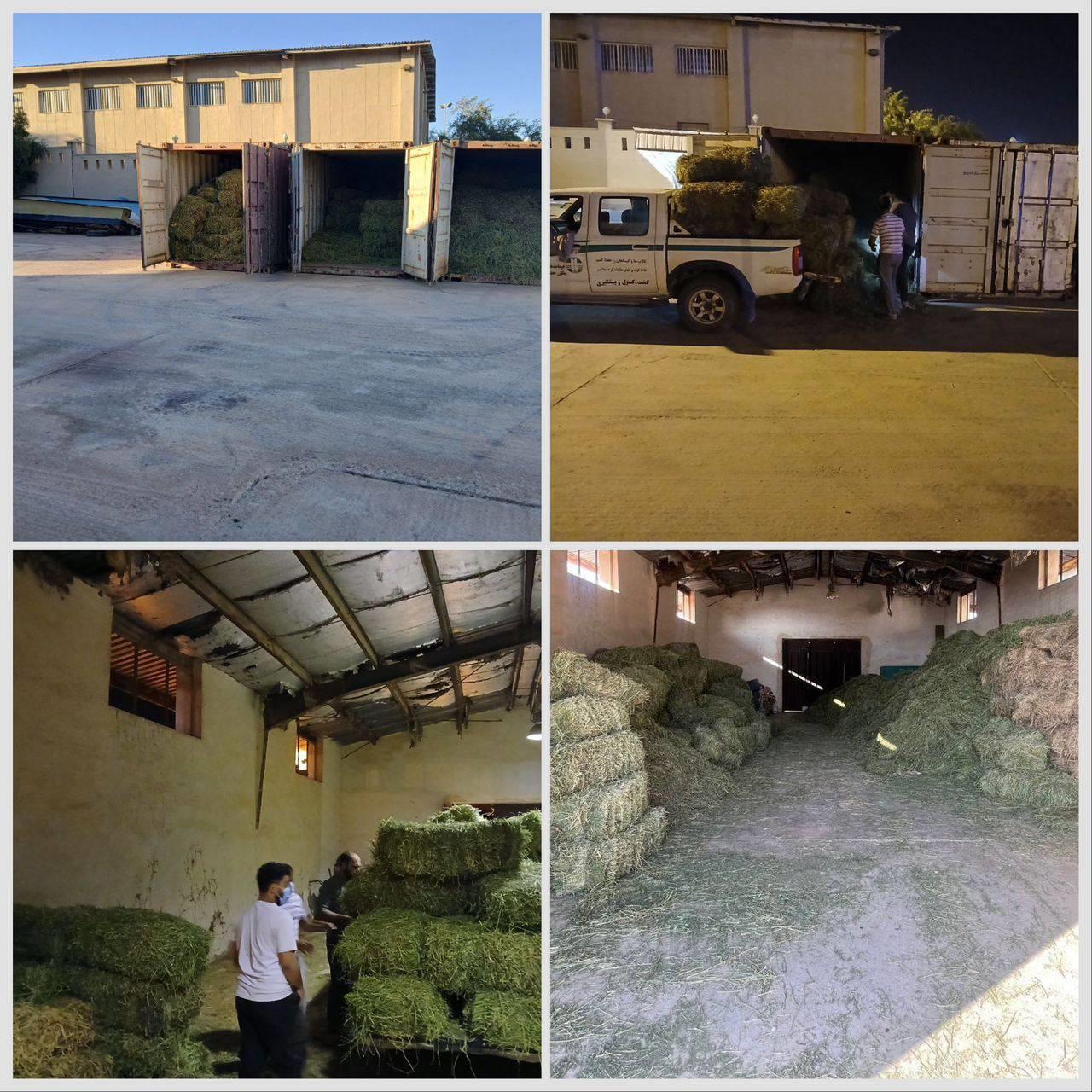 محیط زیست + آهو+ علوفه