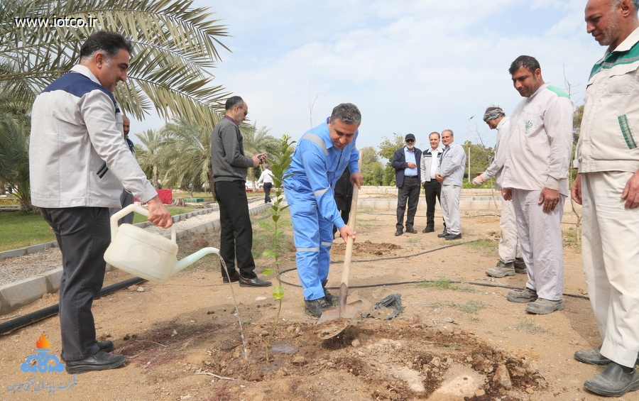 هفته منابع طبیعی+ مراسم درختکاری در جزیره خارگ 2