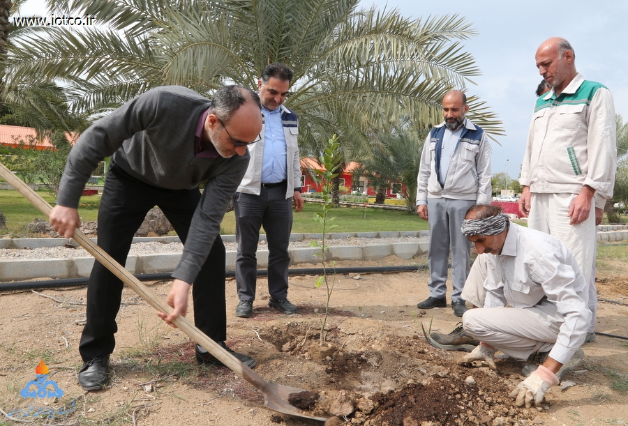 هفته منابع طبیعی+ مراسم درختکاری در جزیره خارگ 3