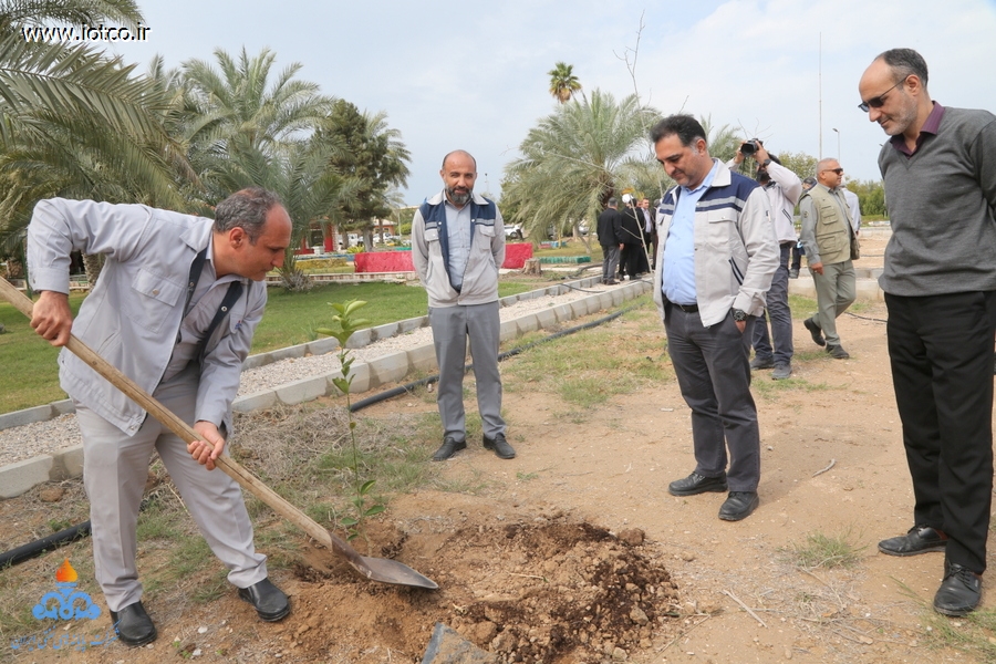 هفته منابع طبیعی+ مراسم درختکاری در جزیره خارگ 4