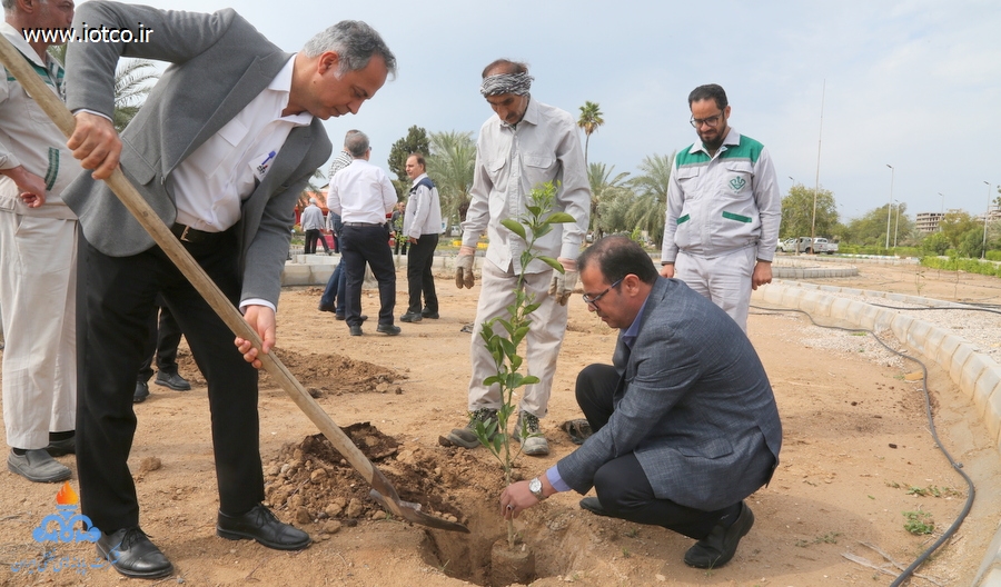 هفته منابع طبیعی+ مراسم درختکاری در جزیره خارگ 5