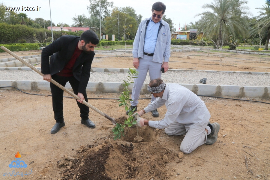 هفته منابع طبیعی+ مراسم درختکاری در جزیره خارگ 6
