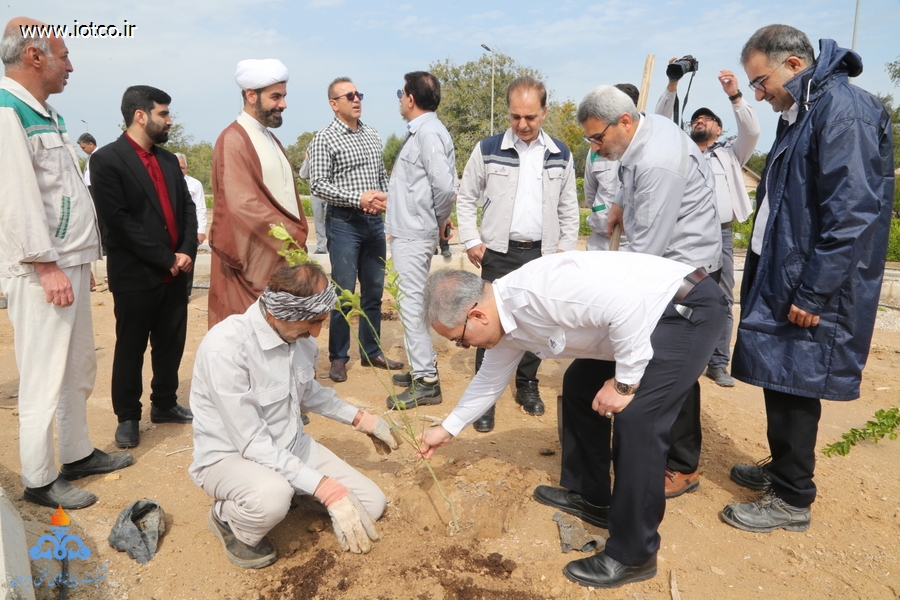 هفته منابع طبیعی+ مراسم درختکاری در جزیره خارگ 8