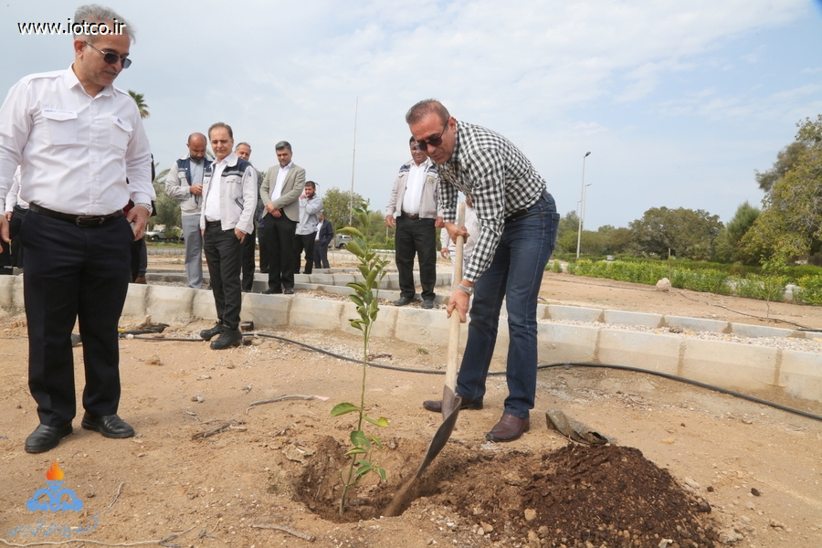 هفته منابع طبیعی+ مراسم درختکاری در جزیره خارگ 9