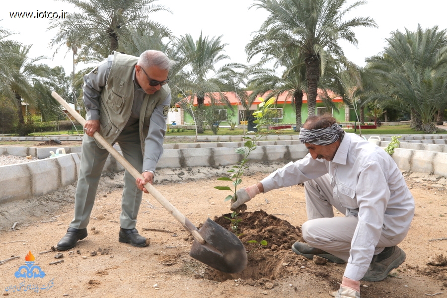هفته منابع طبیعی+ مراسم درختکاری در جزیره خارگ 11