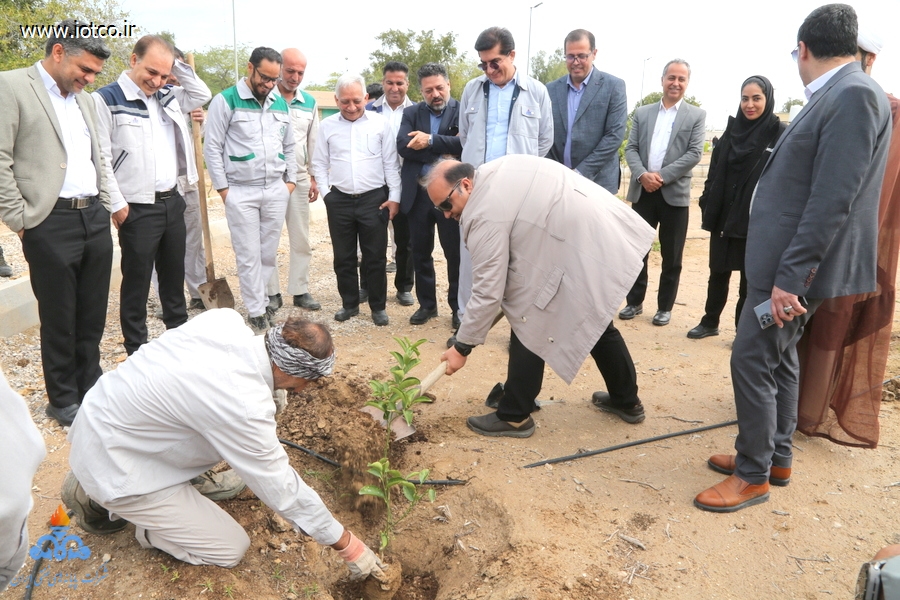 هفته منابع طبیعی+ مراسم درختکاری در جزیره خارگ 13