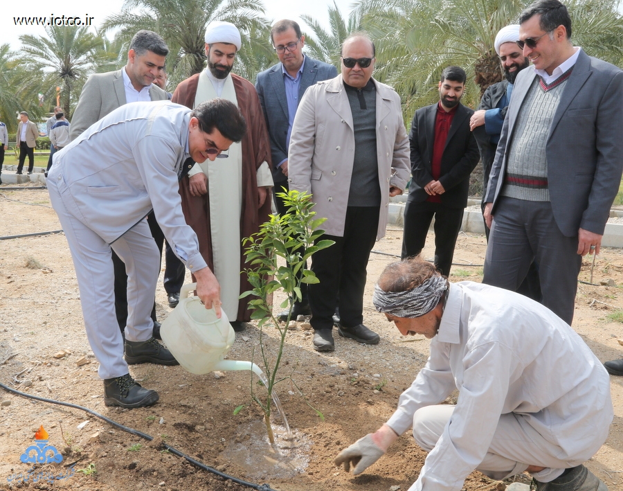 هفته منابع طبیعی+ مراسم درختکاری در جزیره خارگ 15