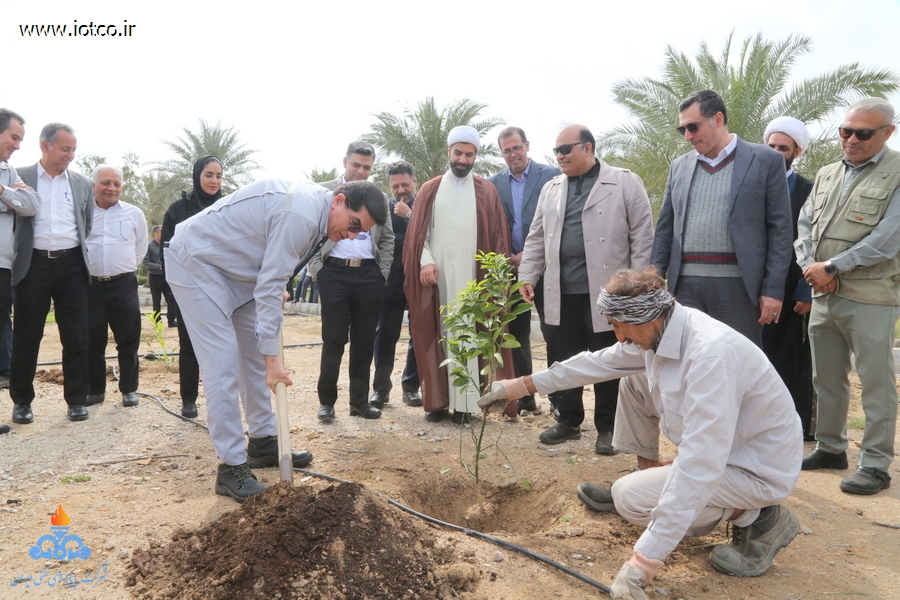هفته منابع طبیعی+ مراسم درختکاری در جزیره خارگ 17