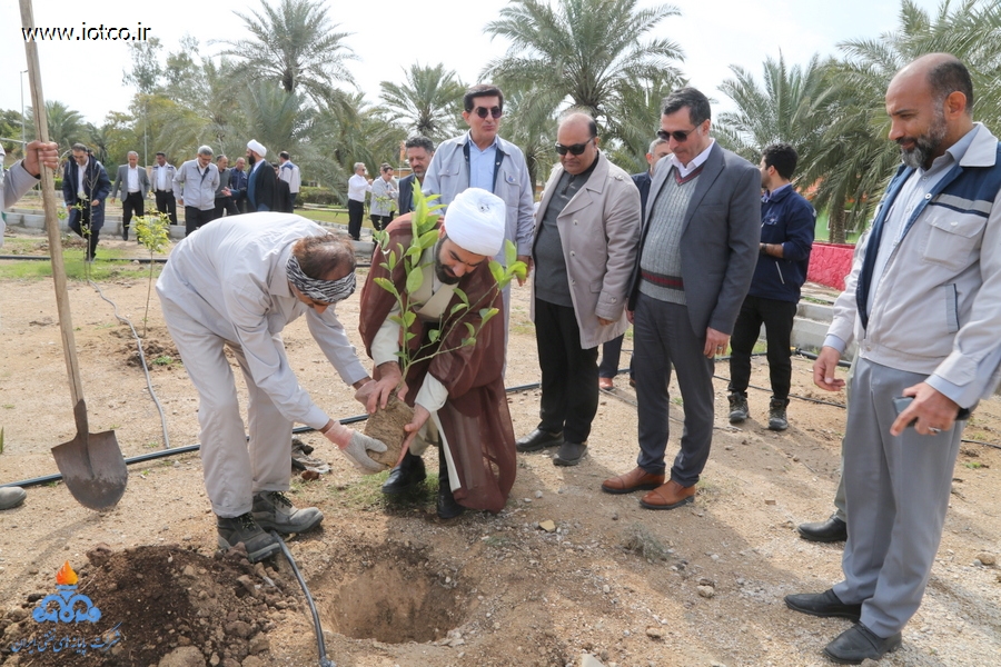هفته منابع طبیعی+ مراسم درختکاری در جزیره خارگ 19