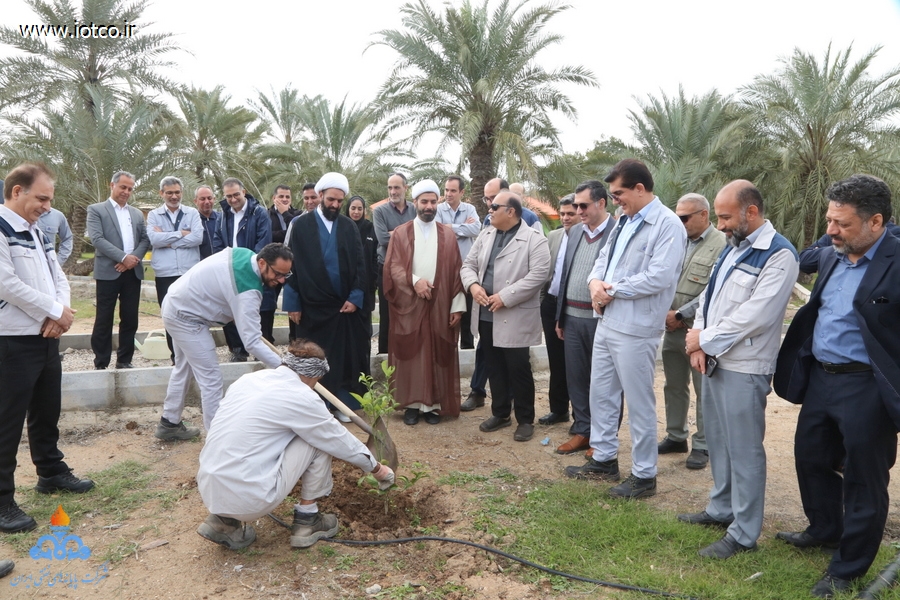 هفته منابع طبیعی+ مراسم درختکاری در جزیره خارگ 20