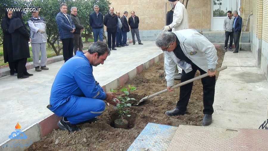 کاشت نهال در پایانه نفتی شمال به مناسبت روز درختکاری 2