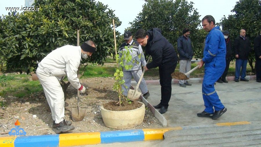 کاشت نهال در پایانه نفتی شمال به مناسبت روز درختکاری 3