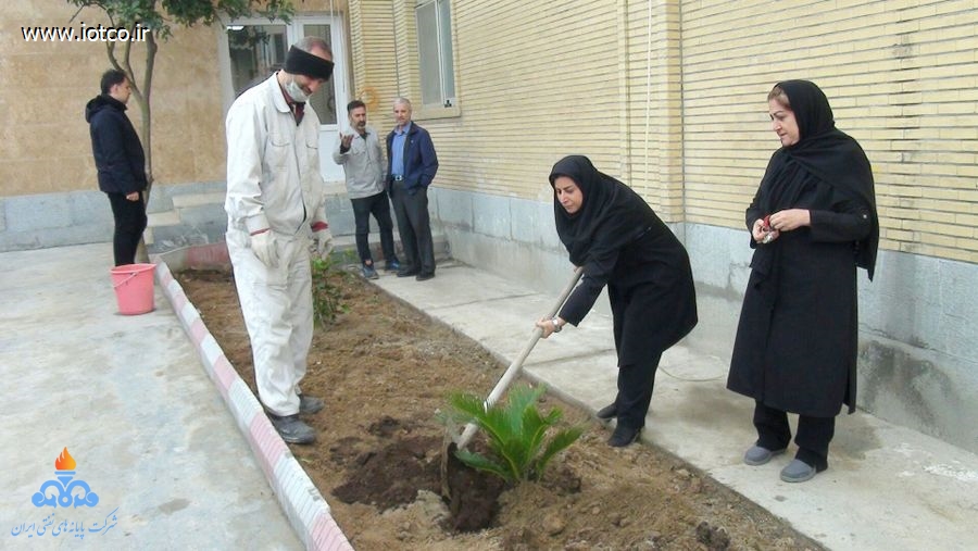 کاشت نهال در پایانه نفتی شمال به مناسبت روز درختکاری 4