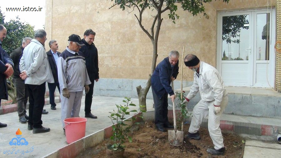 کاشت نهال در پایانه نفتی شمال به مناسبت روز درختکاری 5
