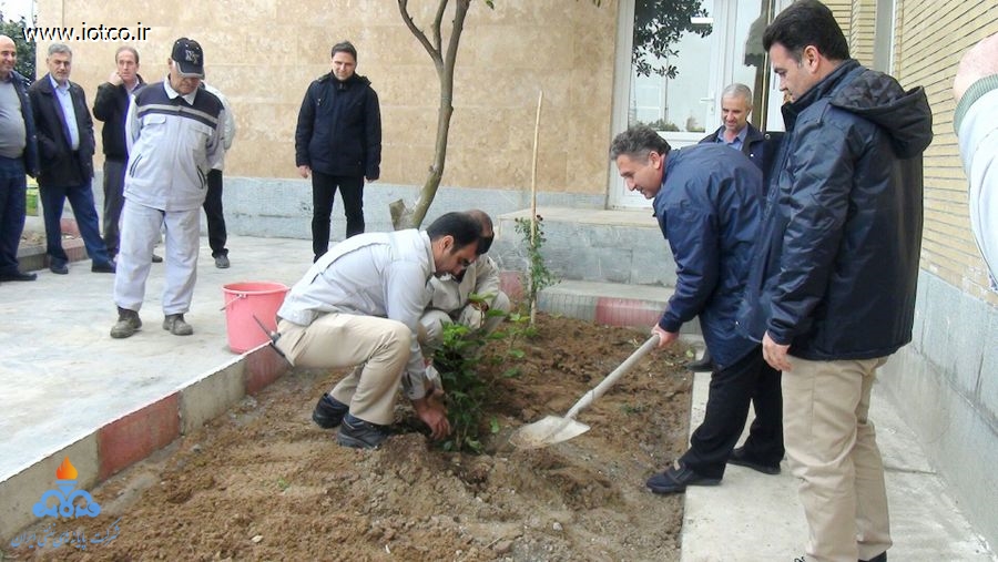 کاشت نهال در پایانه نفتی شمال به مناسبت روز درختکاری 9