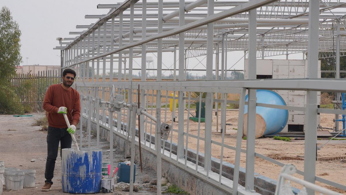 اسدروز + البرز جعفری+ بازسازی گلخانه «گرین هوس» خارگ+ تقویت فضای سبز 9