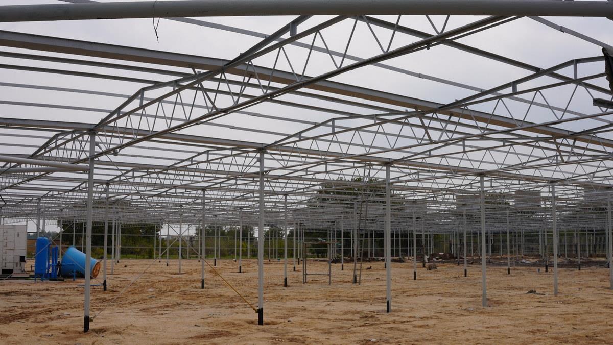 اسدروز + البرز جعفری+ بازسازی گلخانه «گرین هوس» خارگ+ تقویت فضای سبز 8