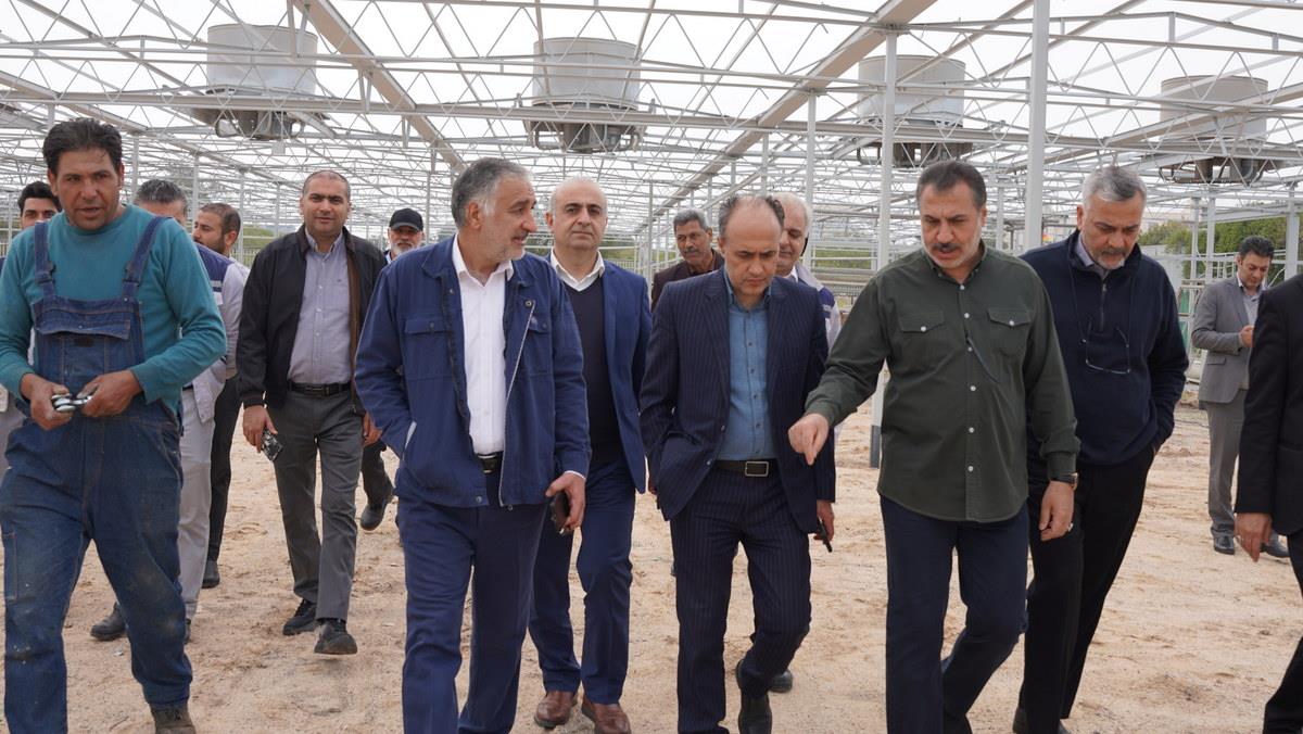 اسدروز + البرز جعفری+ بازسازی گلخانه «گرین هوس» خارگ+ تقویت فضای سبز 5