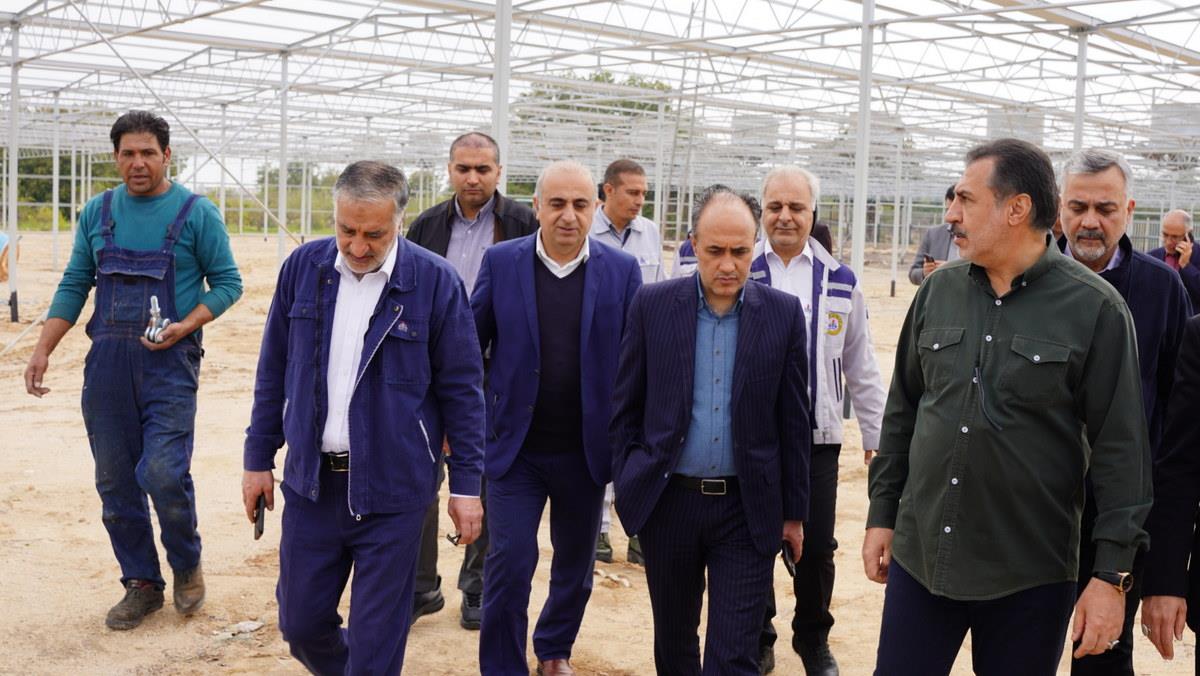 اسدروز + البرز جعفری+ بازسازی گلخانه «گرین هوس» خارگ+ تقویت فضای سبز 3