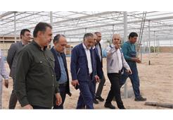 بازسازی گلخانه «گرین هوس» خارگ؛ تقویت فضای سبز و مسئولیت اجتماعی